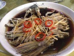 -煲来饱去冷水鱼