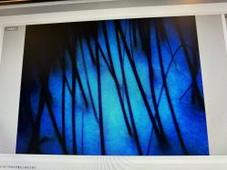 -史云逊养发护发