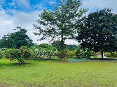-中国科学院西双版纳热带植物园