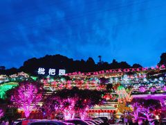 -枇杷园食为鲜火锅(南山店)