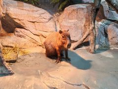 -福州罗源湾海洋世界旅游区