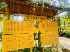 -莫里热带雨林景区
