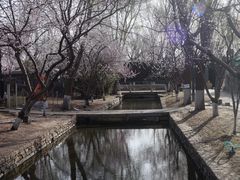 -三里河公园