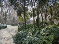 -西安市长乐公园