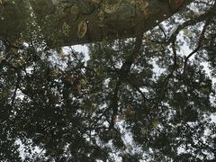 -荣县大佛