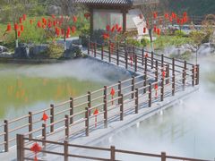 -广西壮族自治区药用植物园