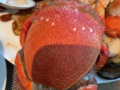 -安蒂娅·海鲜自助餐厅(安蒂娅美兰酒店)