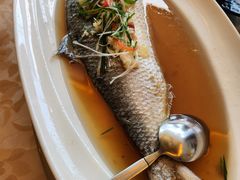 清蒸鲥鱼-新镇江酒家(南京西路店)