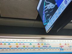 -宋家庄(地铁站)