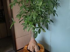 -阿伟海鲜楼·福建菜(延寿店)