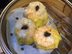 -糖朝(尖沙咀店)