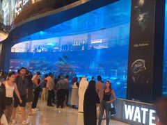 -迪拜水族馆及水下动物园