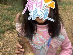 -上海佘山国家森林公园天马山园