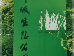 -西湖风景区-江洋畈生态公园