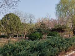 -绿堤公园