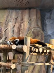 -Zoolung Zoolung动物主题公园(海信广场店)