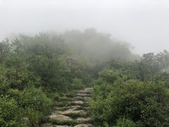 -阳台山自然风景区