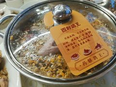 -百利鸽王(紫薇路店)