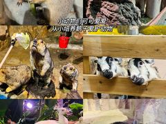 -正佳雨林生态植物园