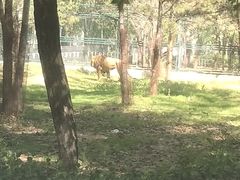 -秦皇岛野生动物园