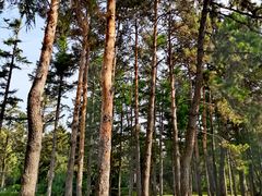 -长春市南湖公园