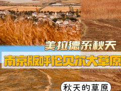 -恋山坝上草原
