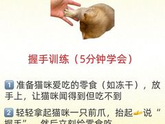 -守诺宠物医院·眼科· 神经外科·爬宠专科(虹口店)