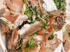 -顺德渔鲜酒家