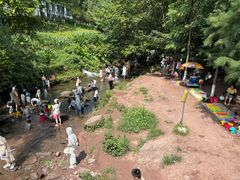 -重庆彩云湖湿地公园