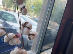 -木卡买提新疆餐厅·清真(新里海顿公馆店)