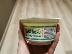 -德禄酸奶(莫家街店)