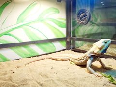 -藦茜花园宠物主题亲子互动体验馆(国顺东路店)