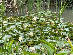 -昆山城市生态森林公园