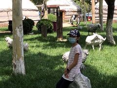 -九十九顶毡房(阜石路店)