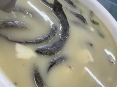 -古榕农庄·桑拿簸箕菜·招牌泥焗鸡(清远长隆店)
