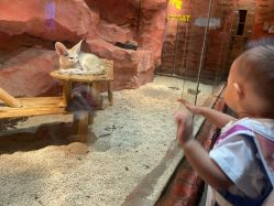 -Zoolung Zoolung动物主题公园(海信广场店)