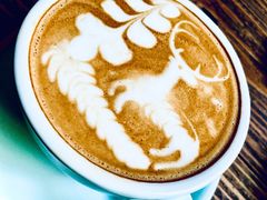 -樹下遇见树·咖啡