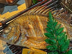 -森味薪火烧•烧鸟居酒屋•日本料理(望京店)