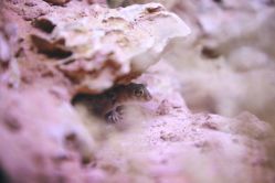 -酷嗒动物文化乐园(cutezoo西溪乐天城店)