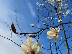 -中海·庐山西海君澜度假酒店·味屿全日制餐厅