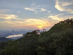 -紫金山山顶公园