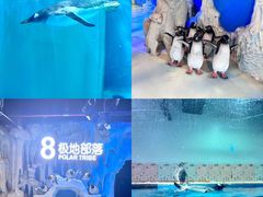 -正佳极地海洋世界