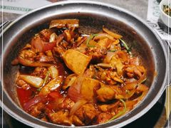 -禄婶鸡煲·打边炉