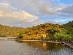 -徂徕山森林康养度假谷温泉