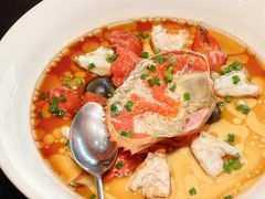 -新光酒家·河豚·海鲜·蟹料理(浦东店)