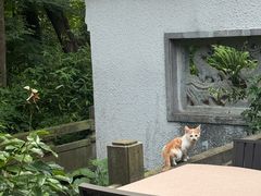 -宋宴(虎跑店)
