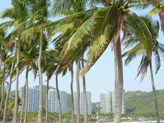 -不仔客海鲜·烧烤·270度海景餐厅(大东海店)