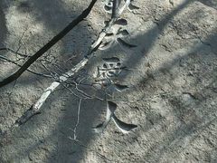 -大泽山风景名胜区