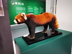 -中国湿地博物馆