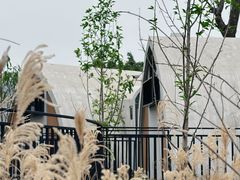 -桂花寨(北碚二店)